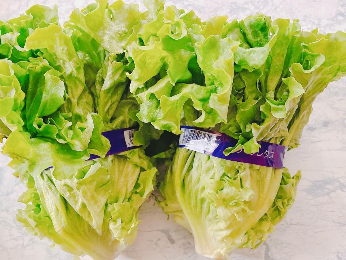 野菜フレッシュキーパー