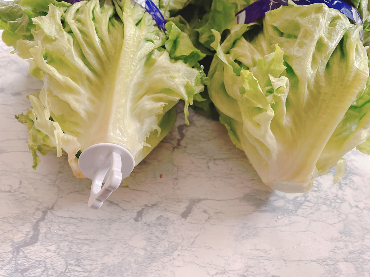 野菜フレッシュキーパー