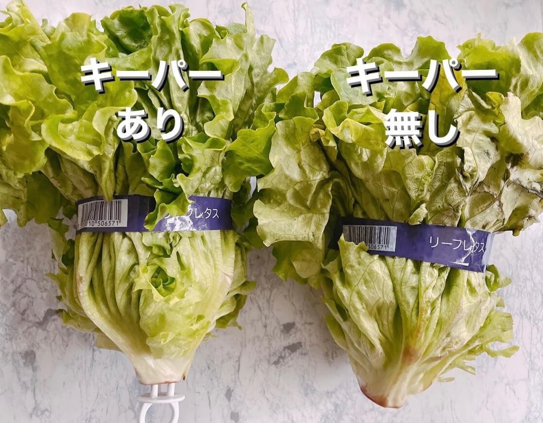 野菜フレッシュキーパー