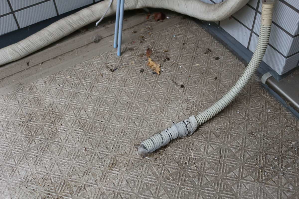 防虫ドレンホースキャップ