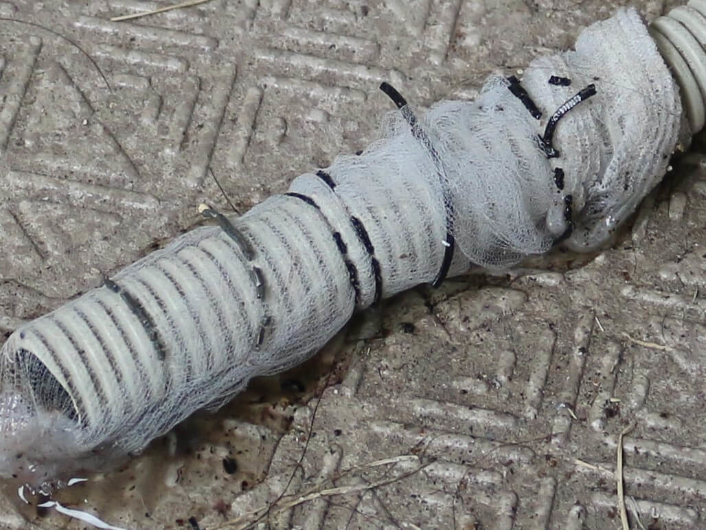 防虫ドレンホースキャップ