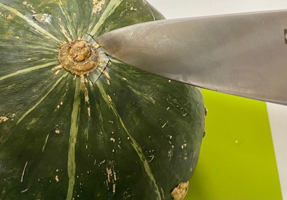 初心者でも作れた!「かぼちゃ羊羹」といっても過言ではない美味しさ