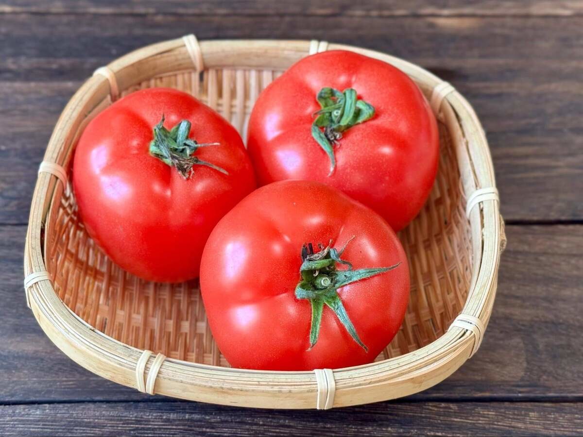 土井善晴さん「フレッシュトマトのミートスパゲッティ」