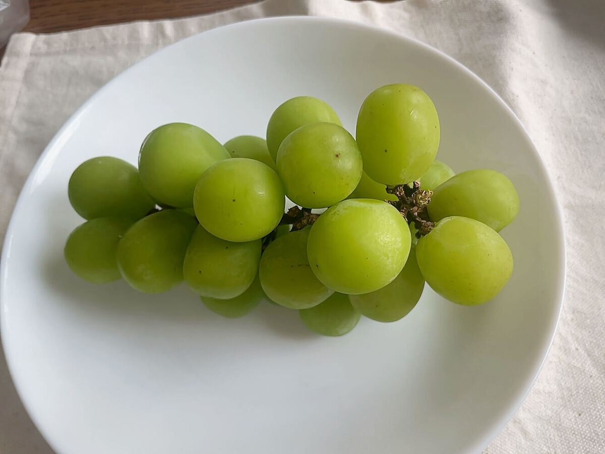 食べチョク「シャインマスカットを長持ちさせる方法」