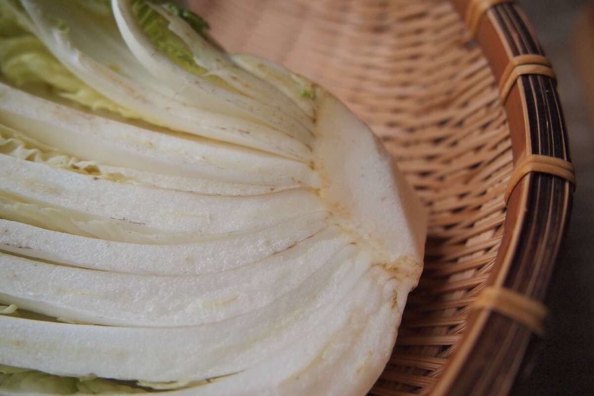 腐っている白菜の特徴【黒い点・カビはNG?】