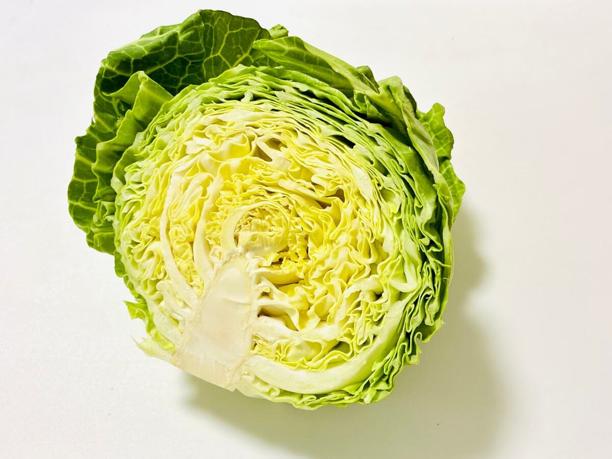 キャベツ