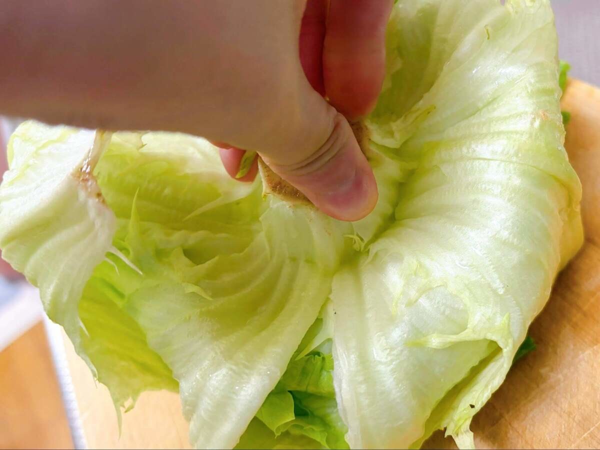 北海道の農家まりこさん「麻薬たまレタス」