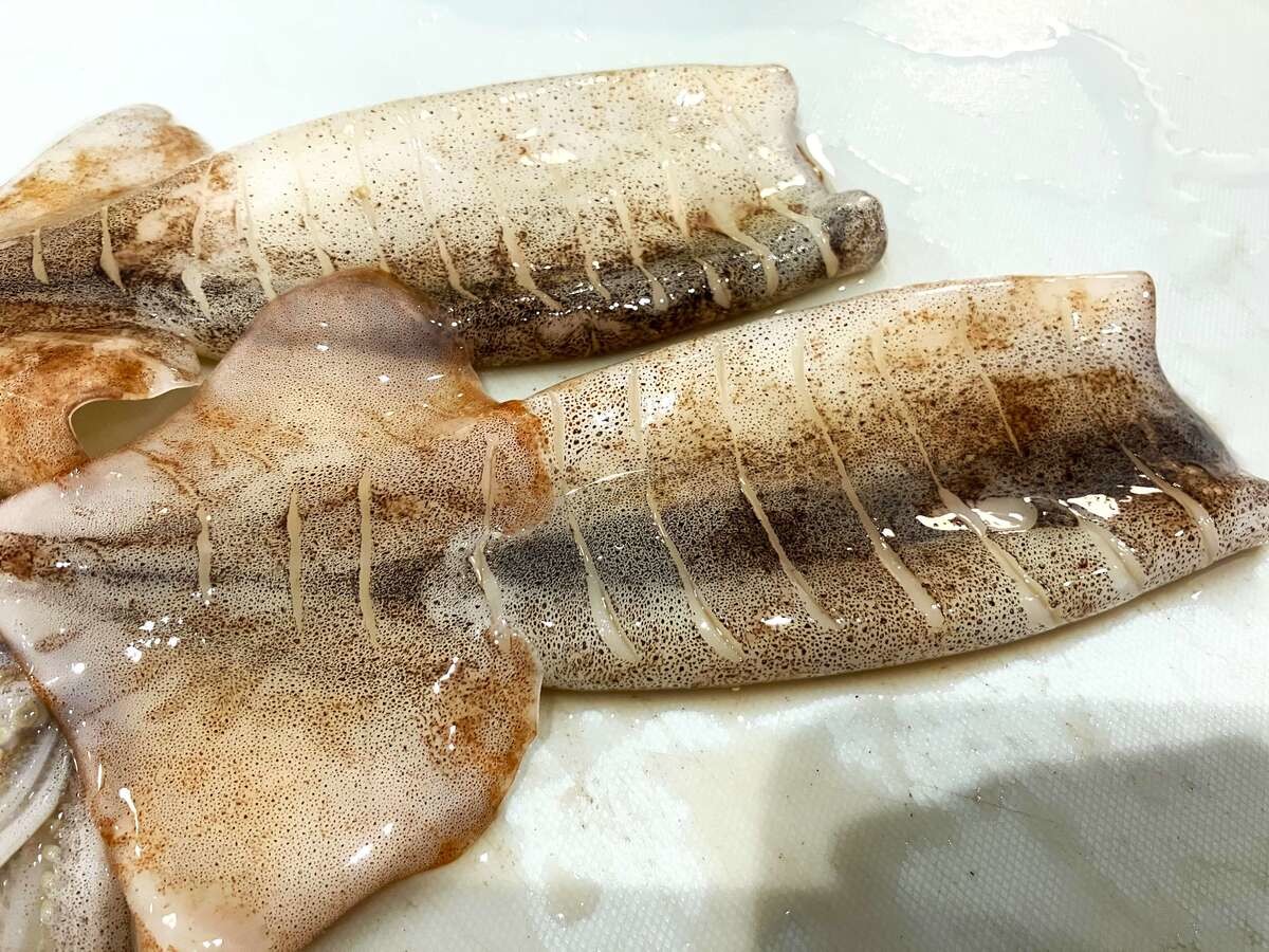 和田明日香さん「お祭り焼きいか」