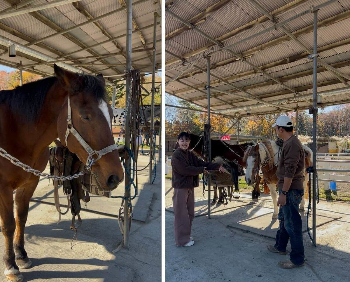 山梨パディーフィールド