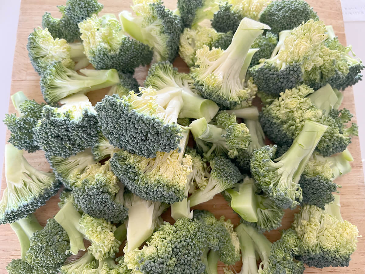 笠原流【無限ブロッコリー】