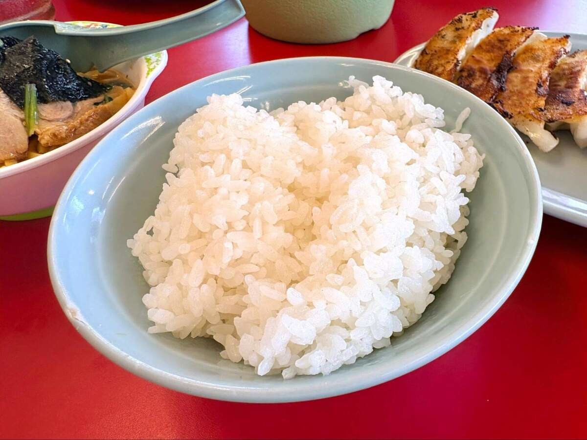 【ラーメン山岡家】また注文したい2選