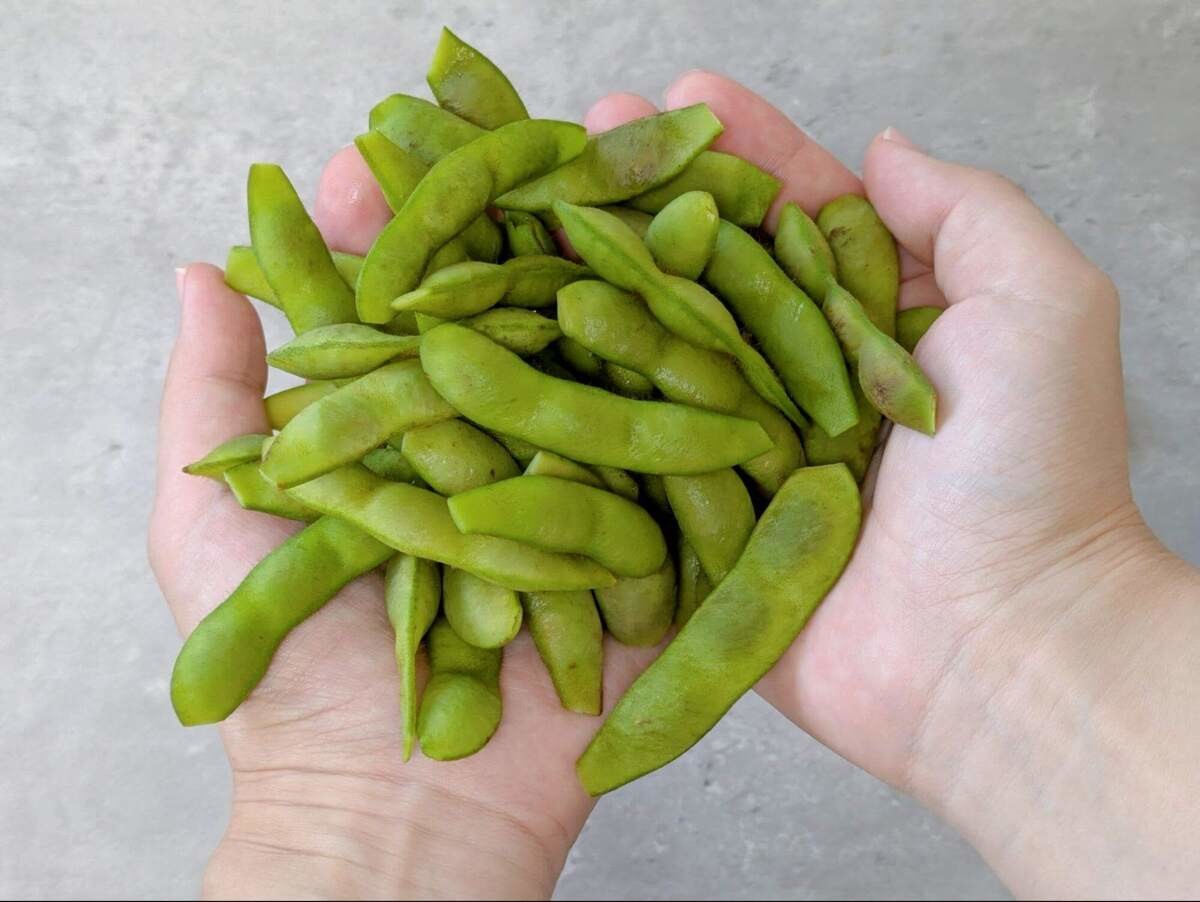 枝豆を食べすぎるとどうなるの？