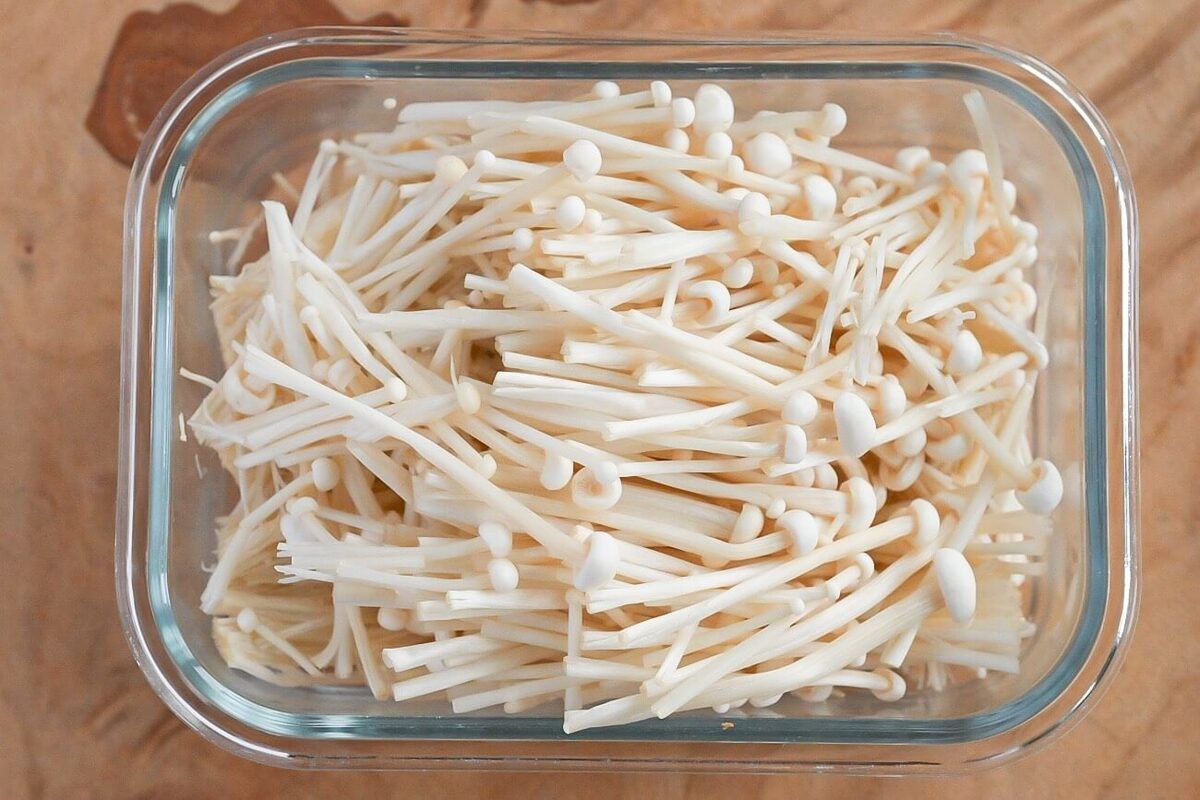 きのこ