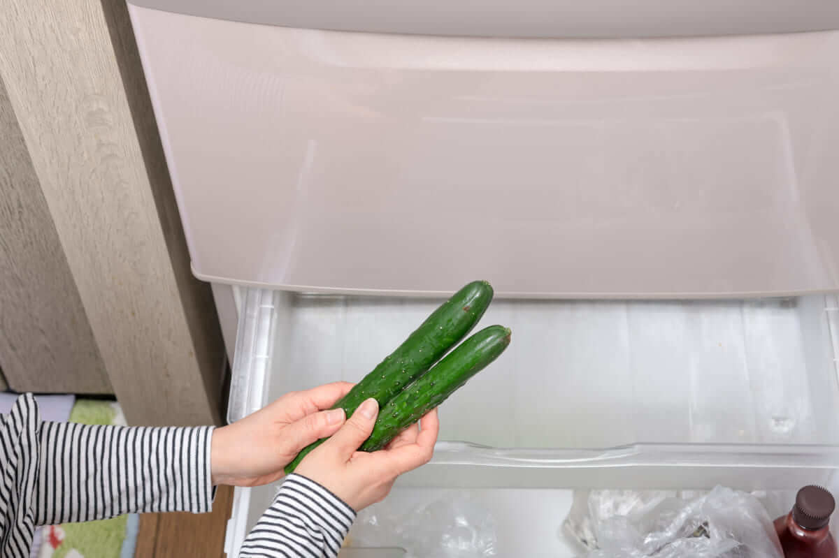 青果のプロ直伝「きゅうりのやってはいけない行為」