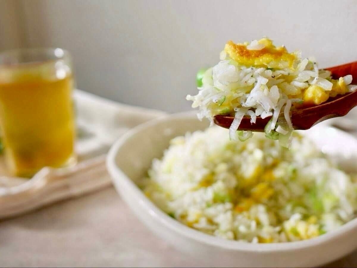 食中毒菌