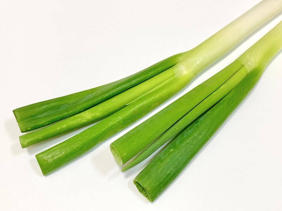 【長ネギの見分け方】おいしい特徴とは？