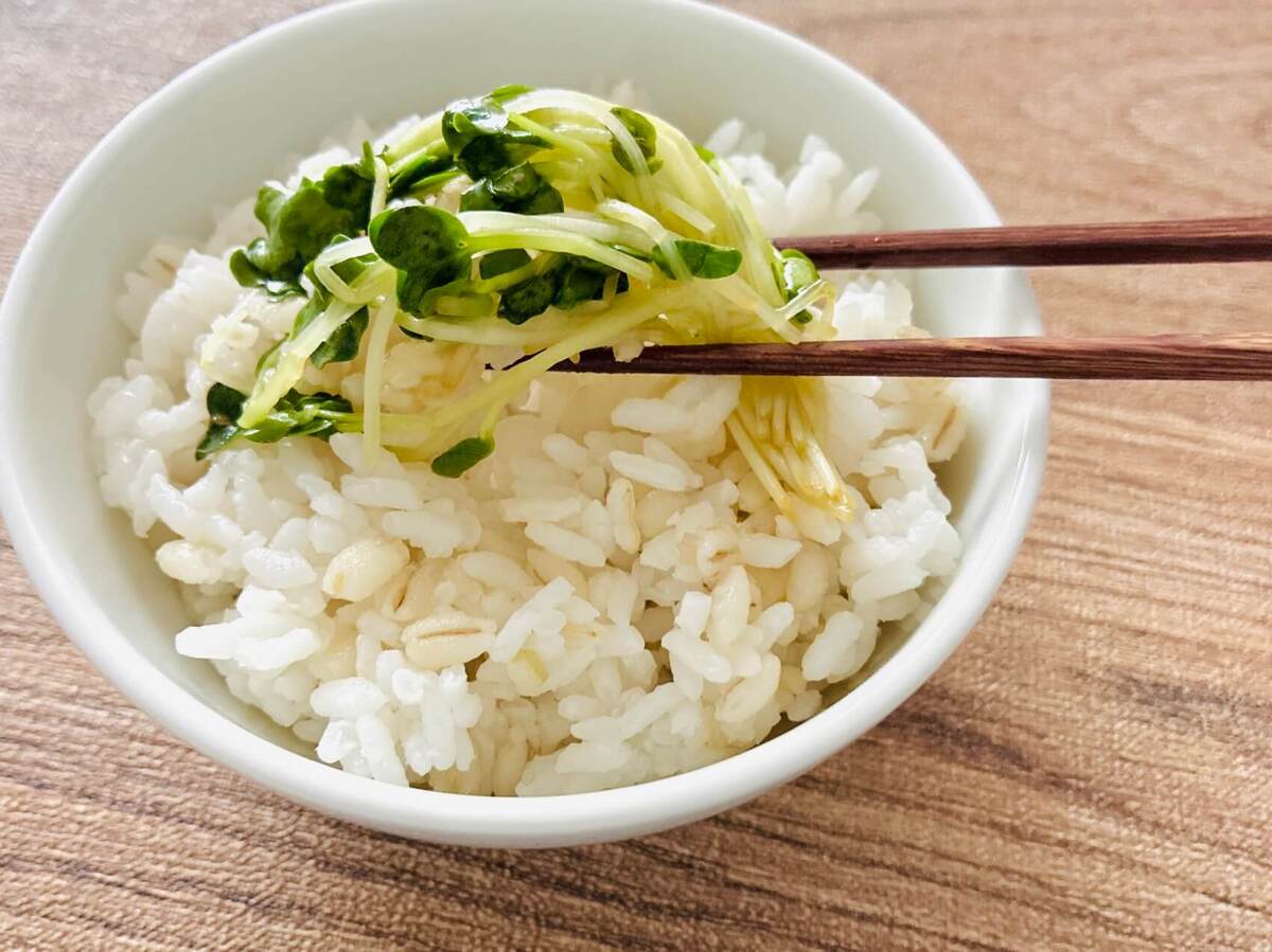カイワレ大根