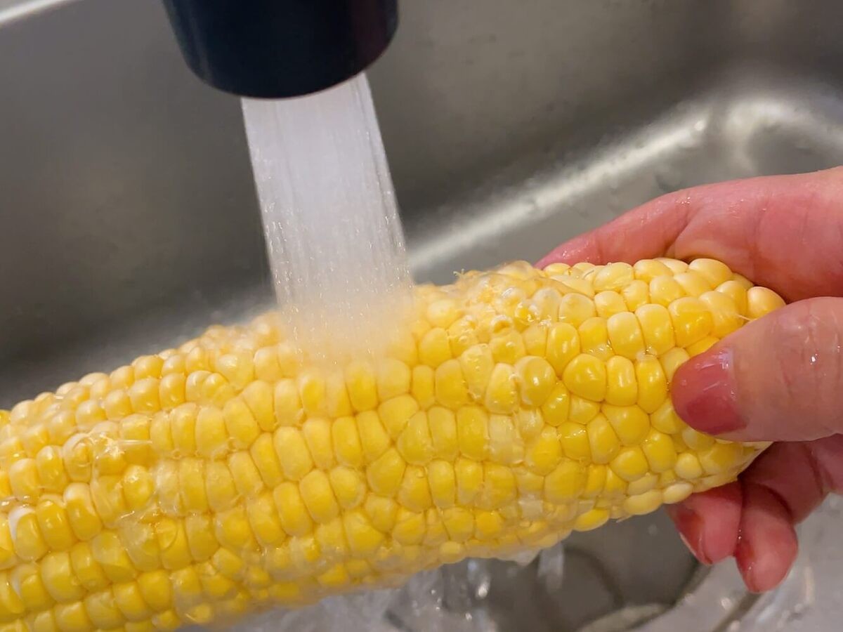 とうもろこし