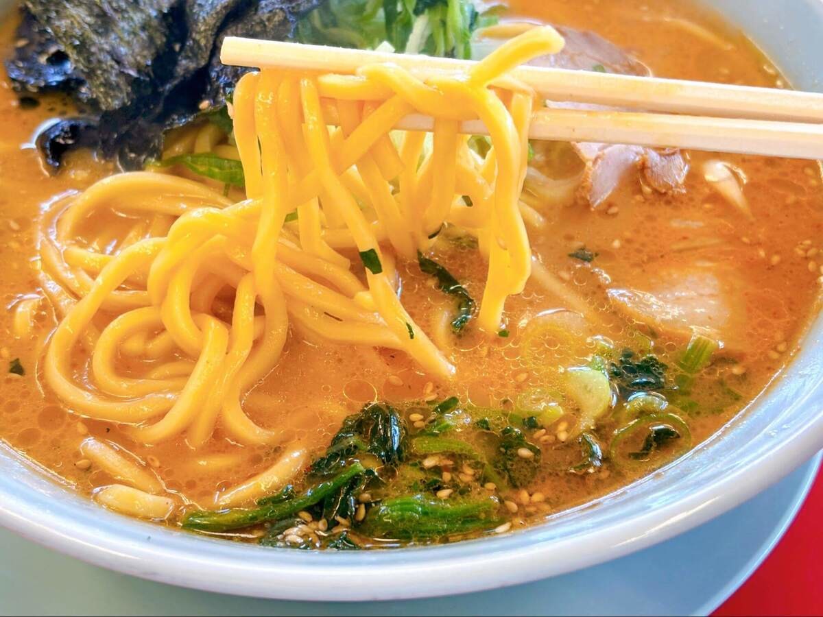 【ラーメン山岡家】また注文したい2選
