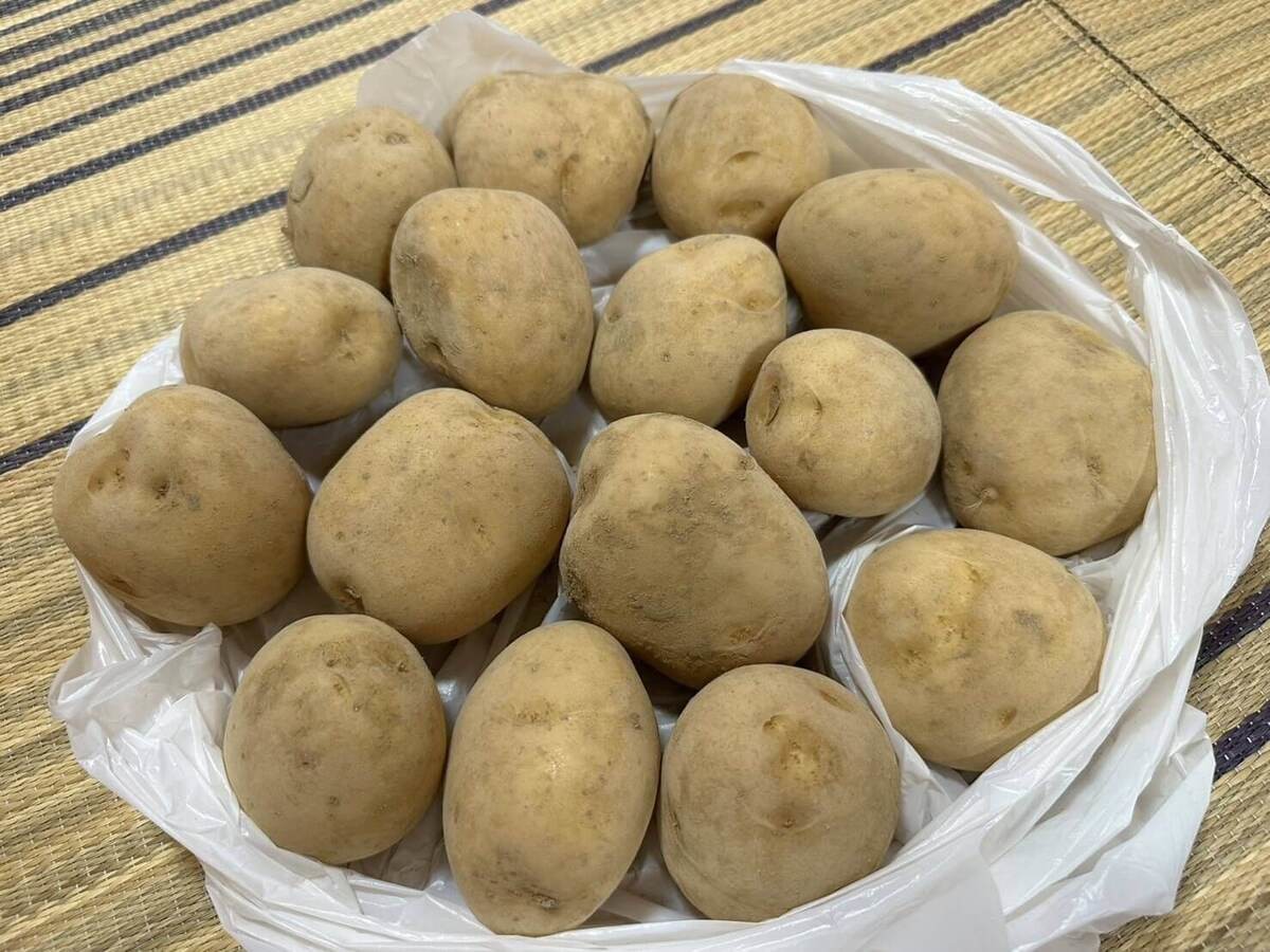 「バカ安八百屋」ってどんなお店？