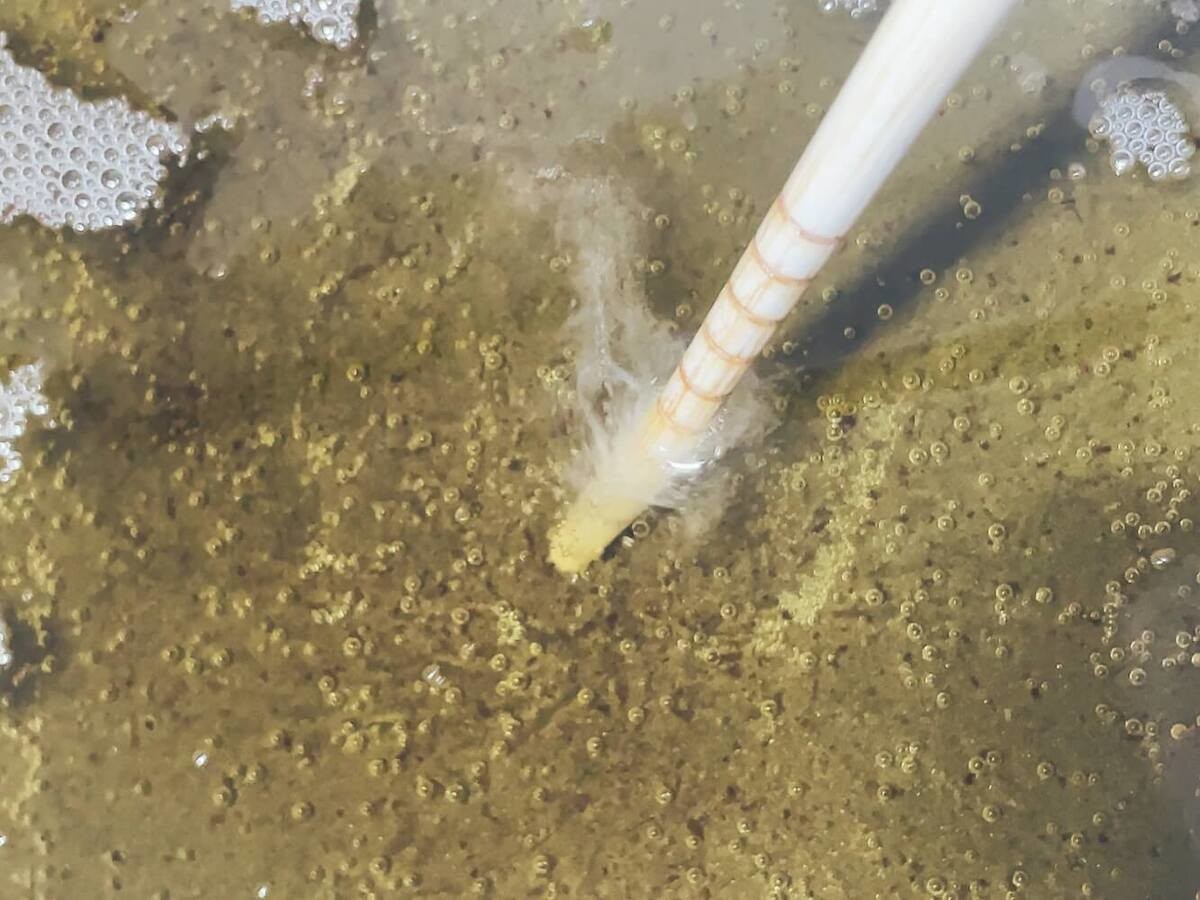 カップ麺が唐揚げの衣に!?