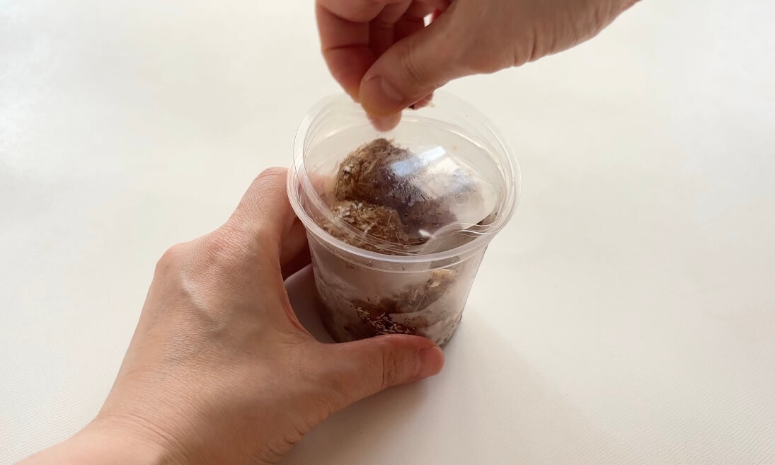 「おかか餅カップ入 チーズ風味クリーム入り」