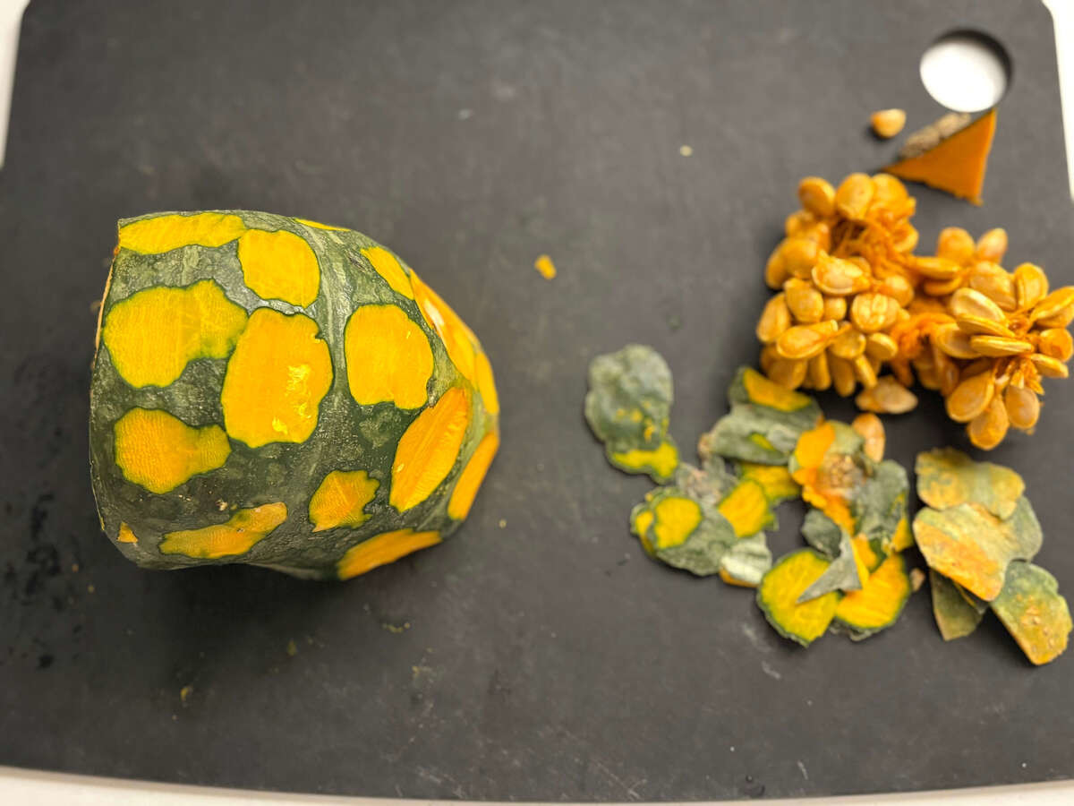 タサン志麻さん「カボチャとリンゴの秋サラダ」