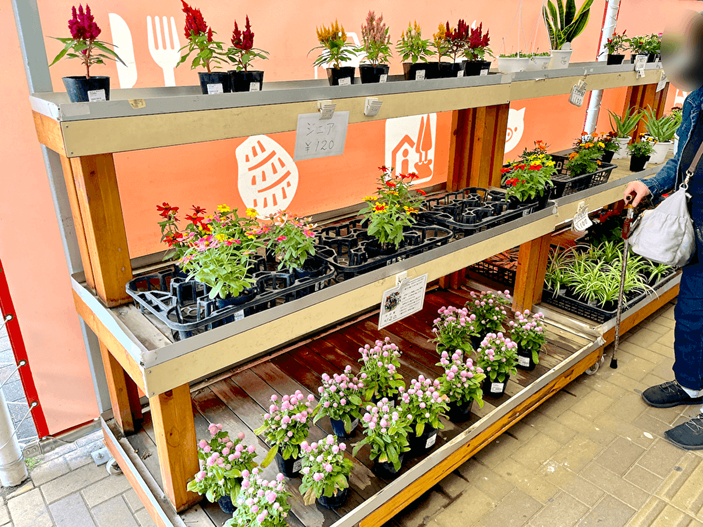 「道の駅ごか」