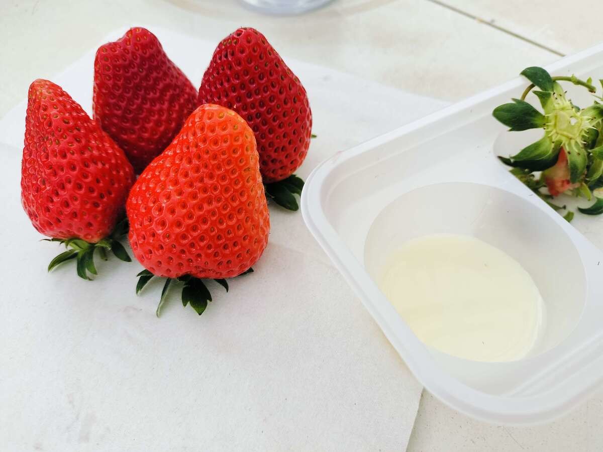 道の駅とみうら枇杷倶楽部