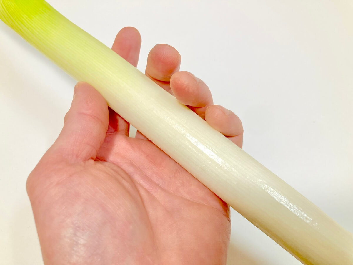 【長ネギの見分け方】おいしい特徴とは？