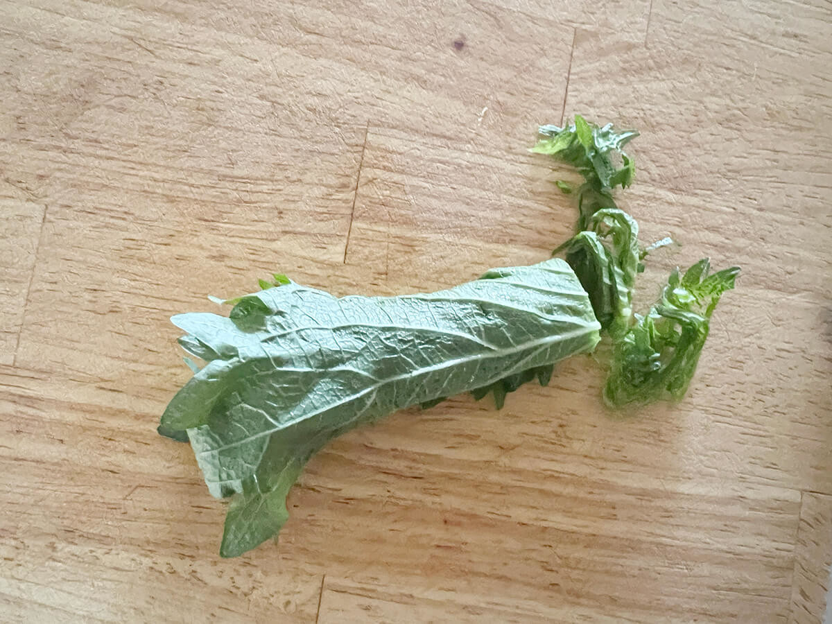 翡翠なす