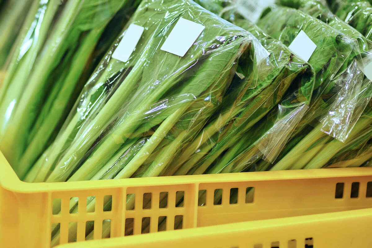 梅雨時に失敗しない野菜の選び方