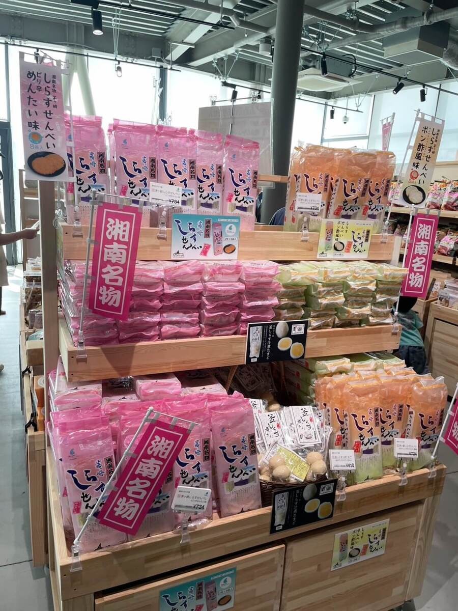 道の駅「湘南ちがさき」