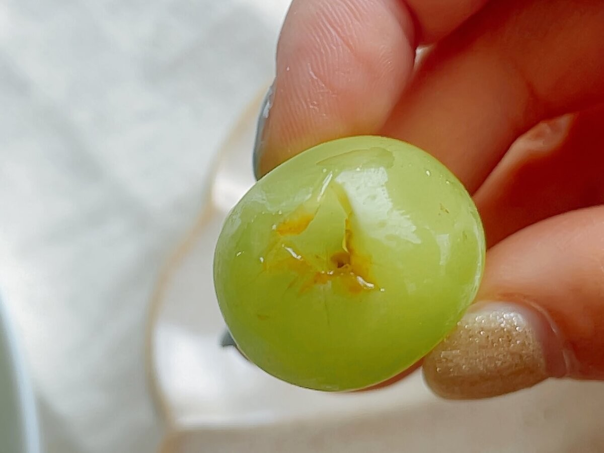 食べチョク「シャインマスカットを長持ちさせる方法」