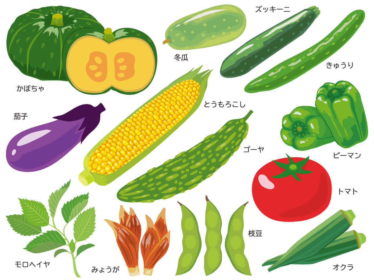8月が旬の野菜