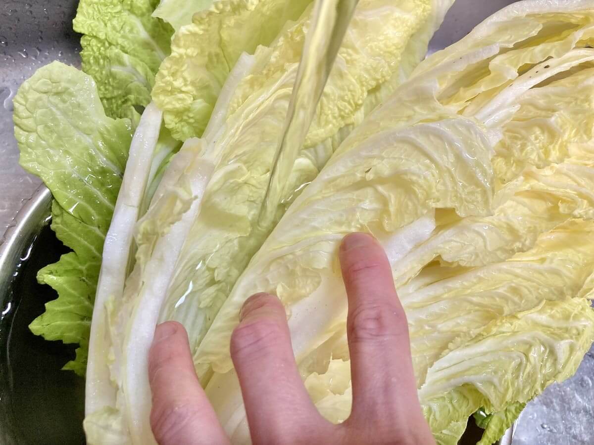 正しい白菜の洗い方
