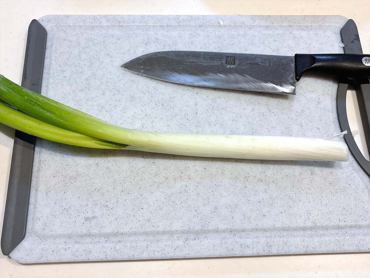 ネギ