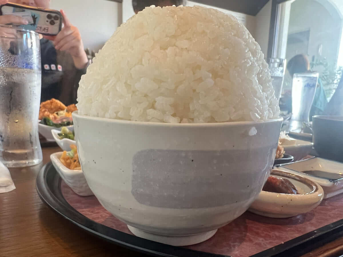 ひなどーる