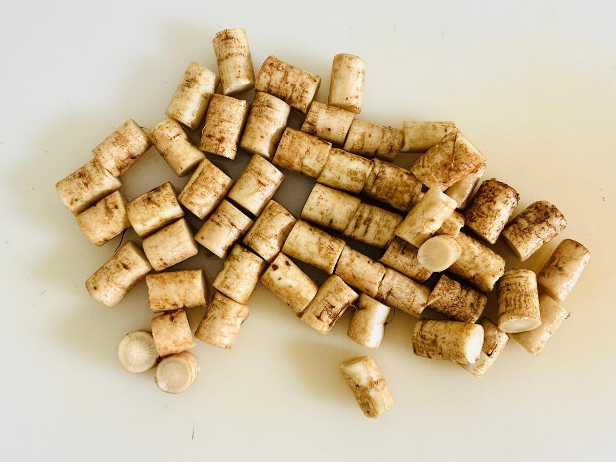 タサン志麻さん「冬野菜のブレゼ」