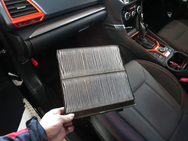 自動車にまつわる花粉・黄砂の豆知識