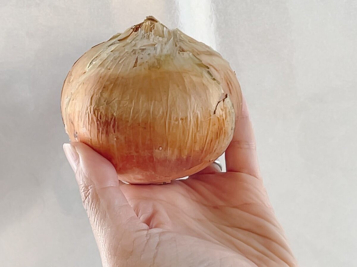 玉ねぎ味噌ダレ