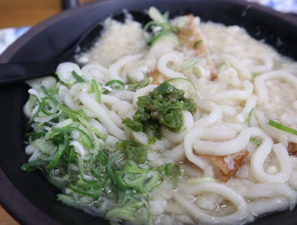 宮崎県「きっちょううどん」実食レポ