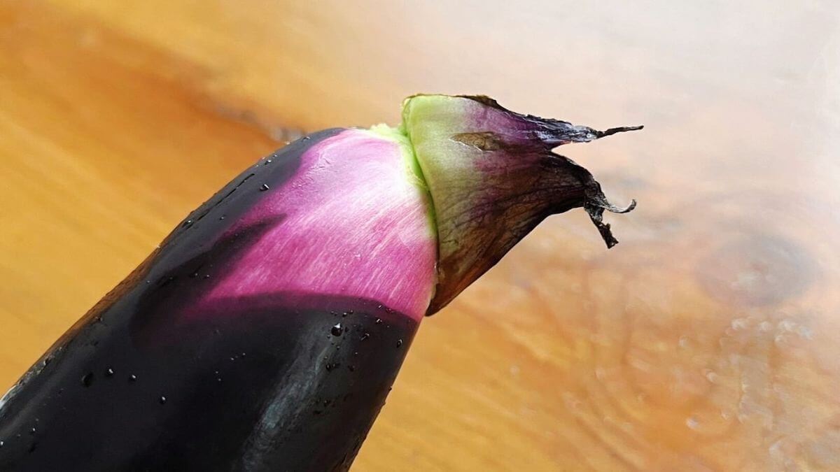 爆速ナスの煮浸し風