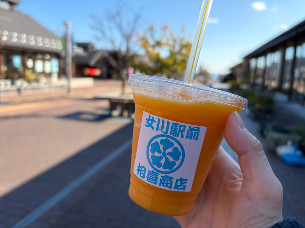 「道の駅おながわ」