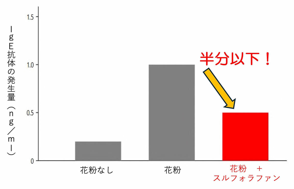ブロッコリースプラウトとは?