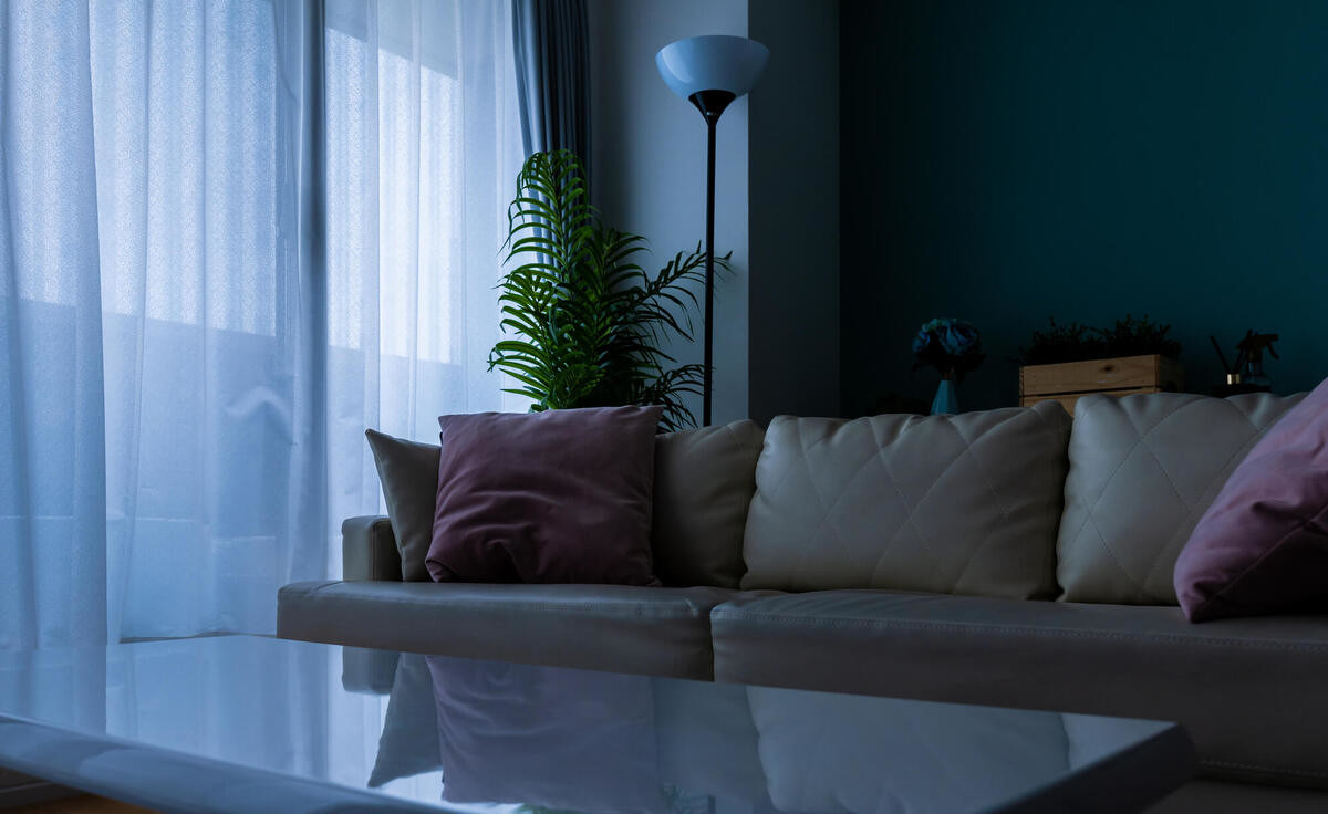 カメムシを寄せつけにくくするお洗濯の工夫