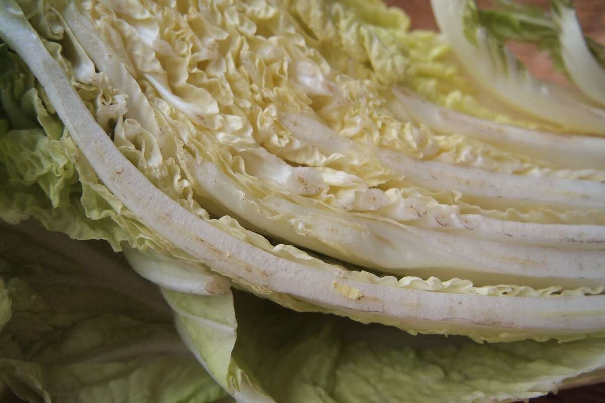 腐っている白菜の特徴【黒い点・カビはNG?】