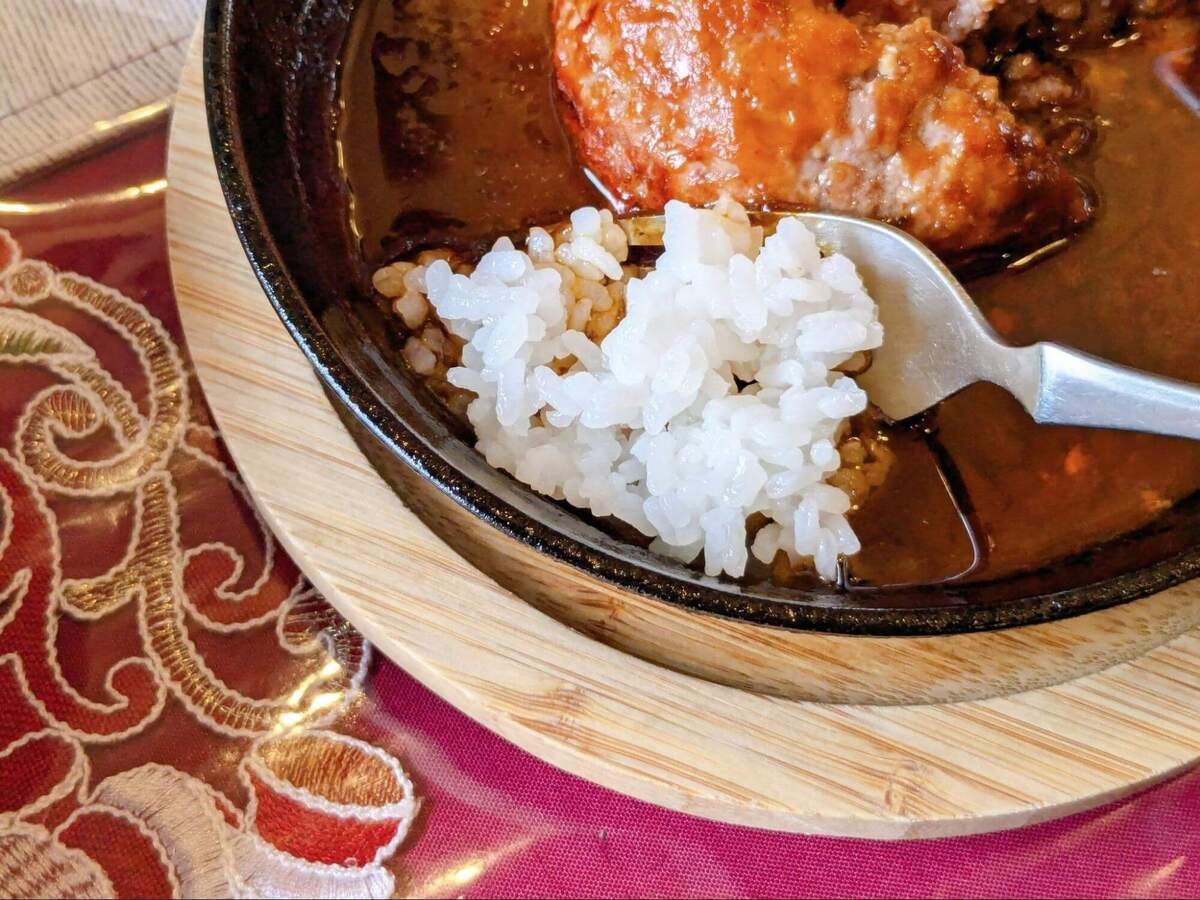 バラエティ・ハンバーグの本 ―おなじみ料理もこんなにいろいろ43種　希少本 バラエティ・ハンバーグの本 ―おなじみ料理もこんなにいろいろ43