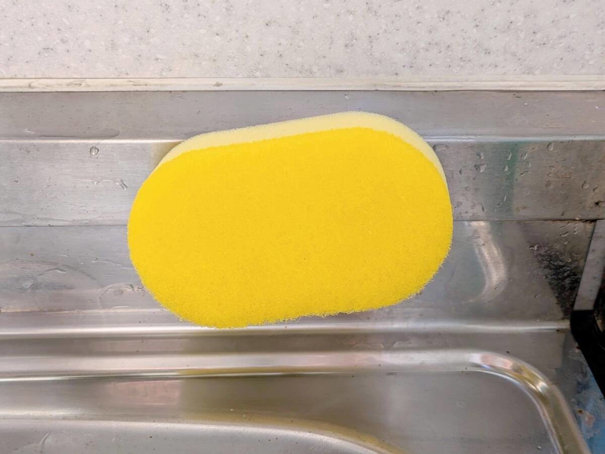 スポンジ