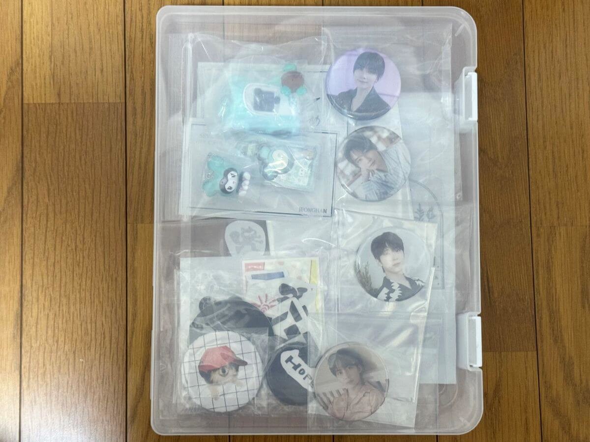 【セリア】マニア大絶賛2選